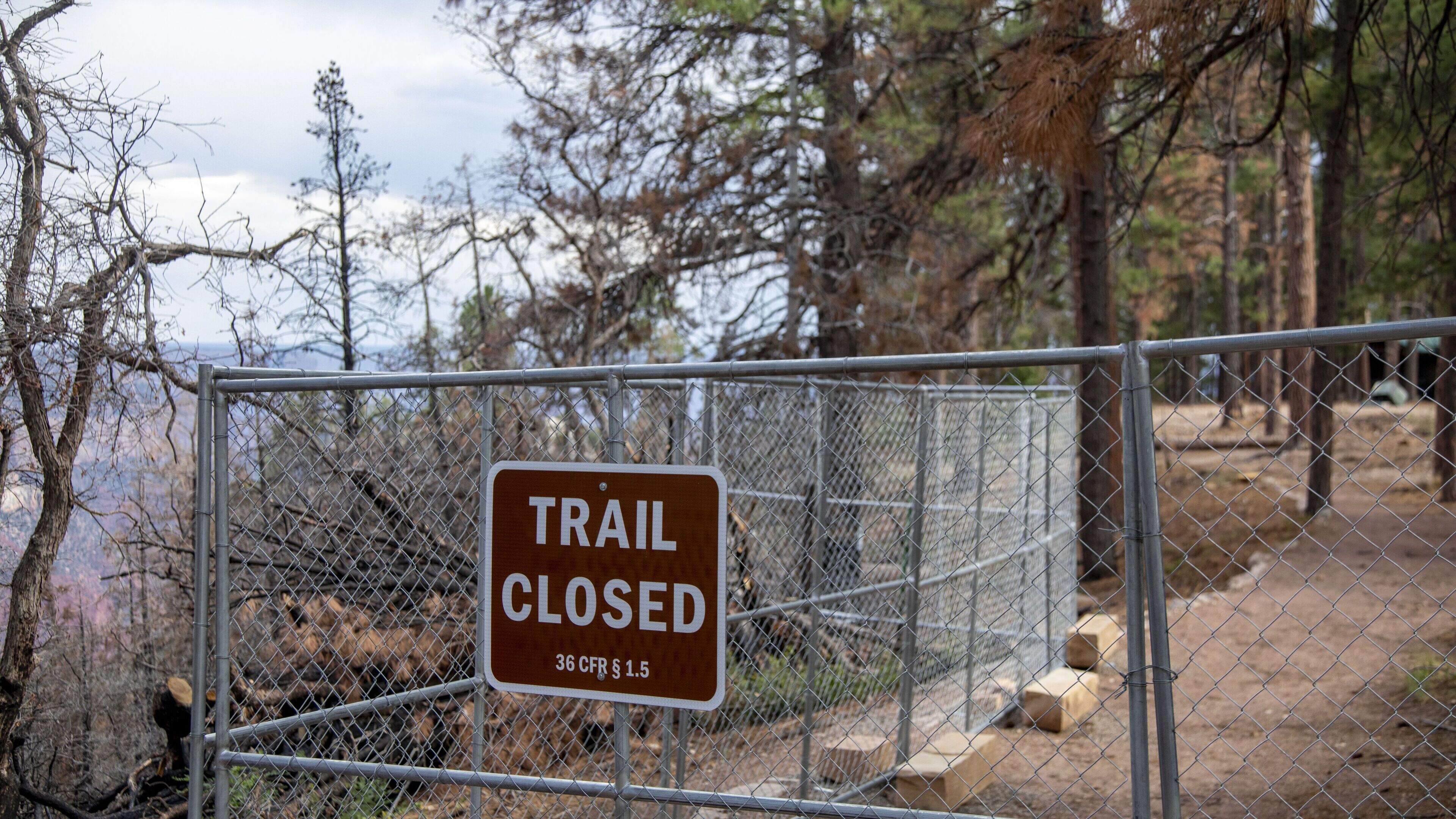 At least 15 people missing after flash flooding in Grand Canyon
